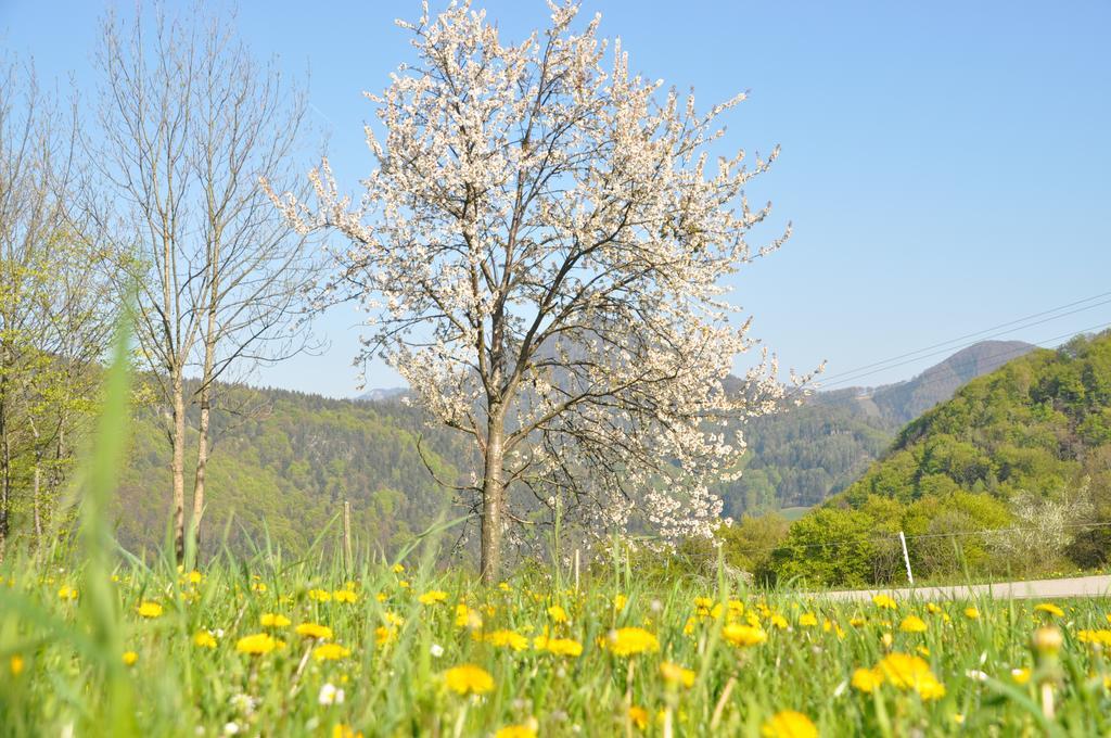 Apart Dirndltal Loich Bagian luar foto