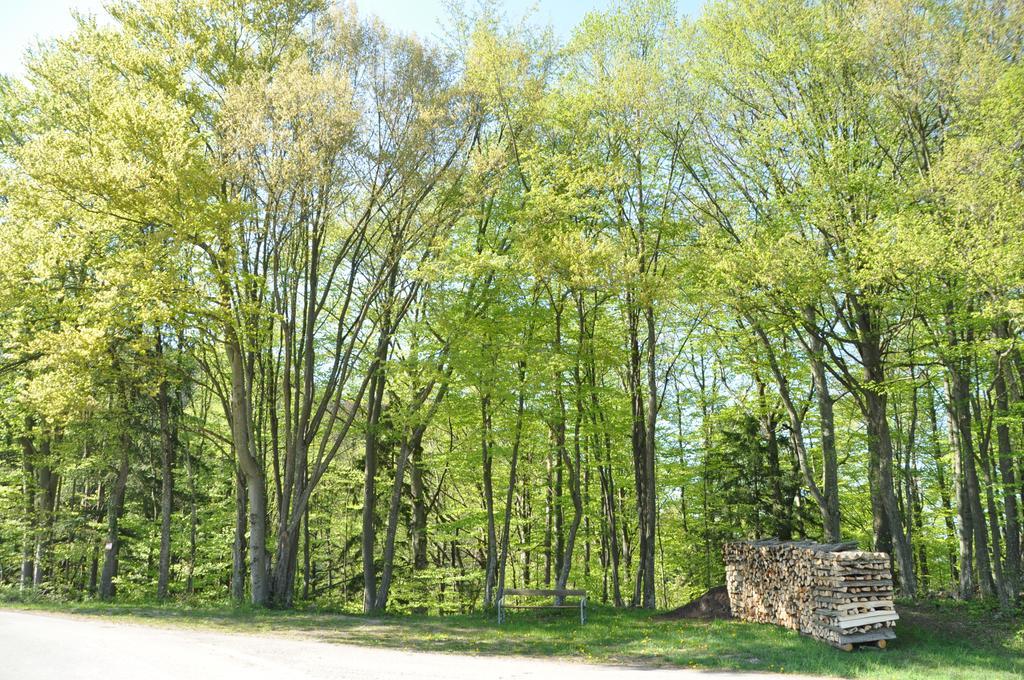 Apart Dirndltal Loich Bagian luar foto